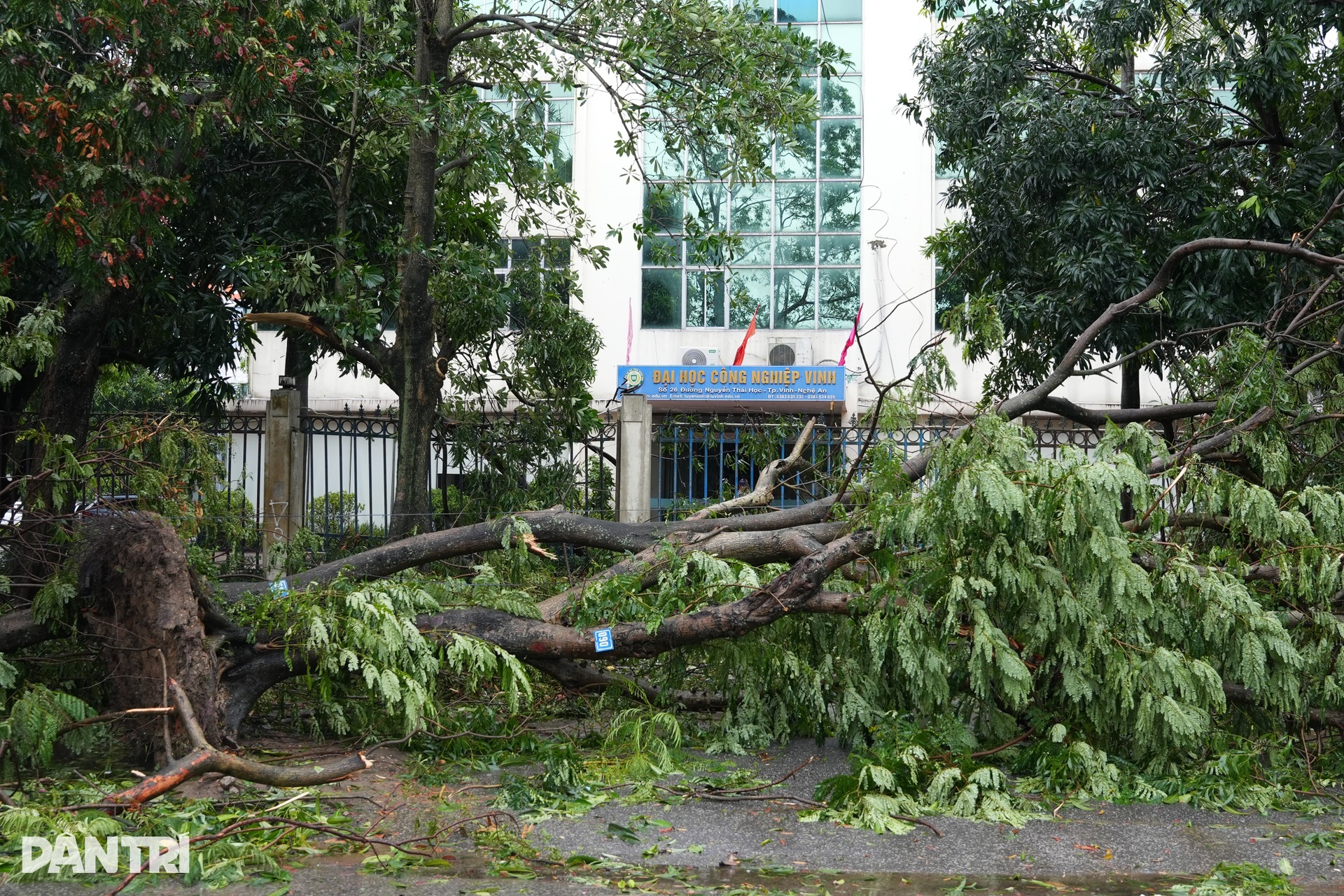 Khung cảnh tan hoang ở thành Vinh sau bão Kajiki - 11 Khung cảnh tan hoang ở thành Vinh sau bão Kajiki - 11