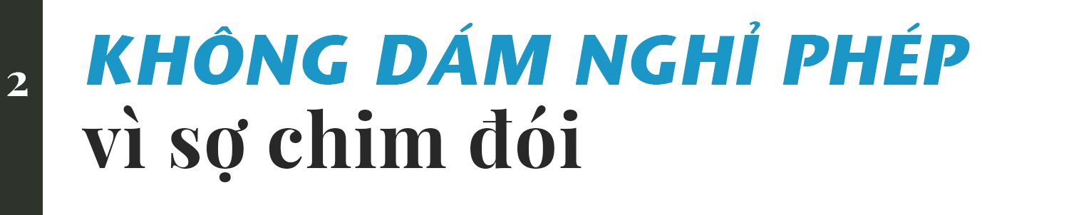 Chuyện về người đàn ông thổi hồi còi, cả nghìn con chim bay tới vây quanh - 9 Chuyện về người đàn ông thổi hồi còi, cả nghìn con chim bay tới vây quanh - 9