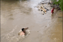 Lời kể của "người hùng" cứu bé gái chới với giữa dòng nước xiết