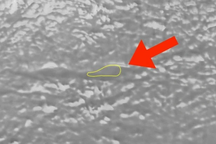 Dùng sóng radar, khoa học bất ngờ với thứ nằm bên dưới lớp băng ở Nam Cực