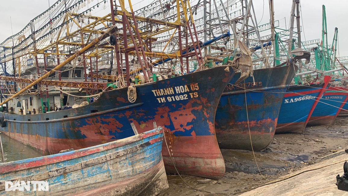 Mang tàu khủng lên mạng xã hội rao bán giữa bão giá nhiên liệu - 3 Mang tàu khủng lên mạng xã hội rao bán giữa bão giá nhiên liệu - 3