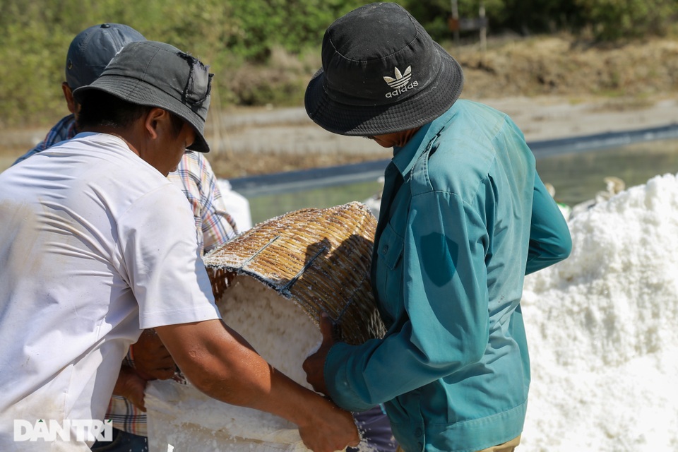 Nghề bán mặt cho đất, bán lưng cho trời của người dân Cần Giờ - 6 Nghề bán mặt cho đất, bán lưng cho trời của người dân Cần Giờ - 6