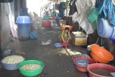 Thực phẩm tết: Nhìn thấy hết muốn ăn!