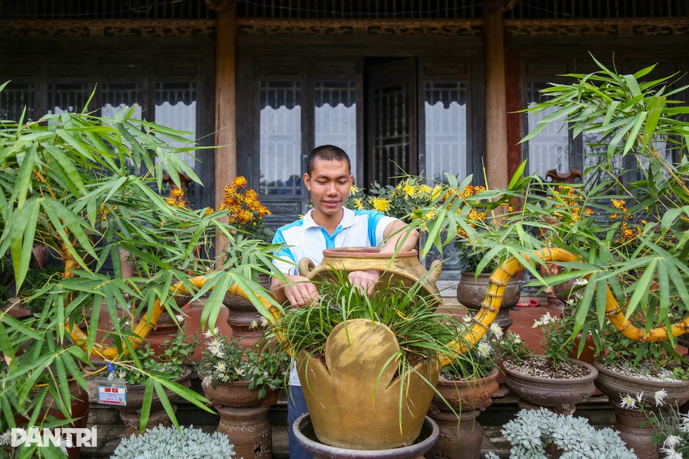 Gặp chủ nhân chậu tre bonsai đặt trong tiệc trà Tổng Bí thư - 1