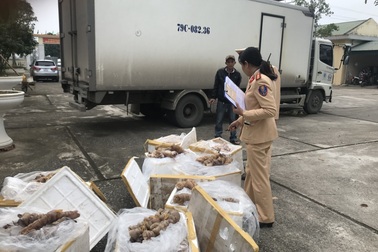 Gần 3 tạ thực phẩm ôi thiu đang trên đường từ Bắc vào Nam