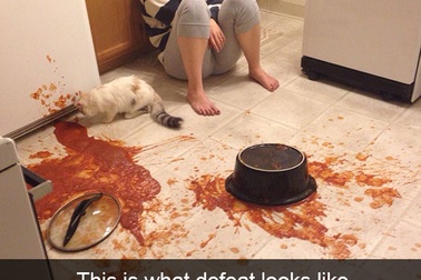 Những tình huống bi hài "khó đỡ" trong cuộc sống