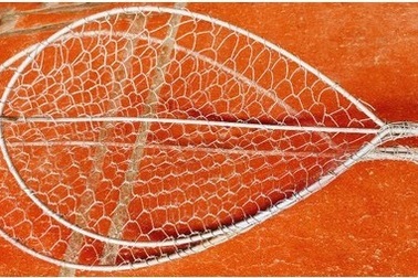 Đi chích cá sau lũ, nam sinh bị điện giật tử vong