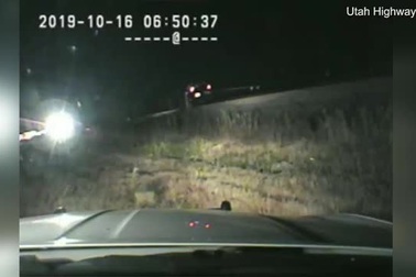 “Thót tim” khoảnh khắc cảnh sát Mỹ cứu người bất tỉnh trước mũi tàu trong tích tắc