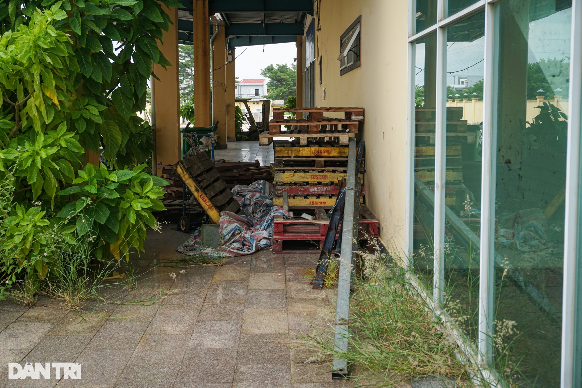 Bụi phủ kín, cỏ vây tứ phía ở bến xe kỳ lạ của Đà Nẵng - 9 Bụi phủ kín, cỏ vây tứ phía ở bến xe kỳ lạ của Đà Nẵng - 9