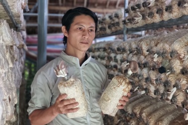 Cựu hướng dẫn viên du lịch chuyển nghề trồng nấm, thu về 400 triệu đồng/năm