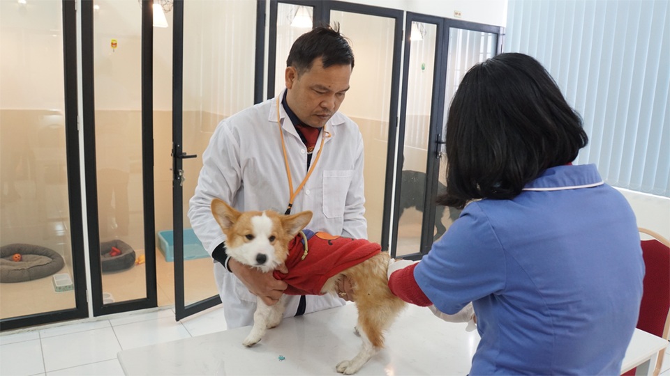 Người Hà Nội gửi thú cưng vào khách sạn để về quê ăn Tết - 6 Người Hà Nội gửi thú cưng vào khách sạn để về quê ăn Tết - 6