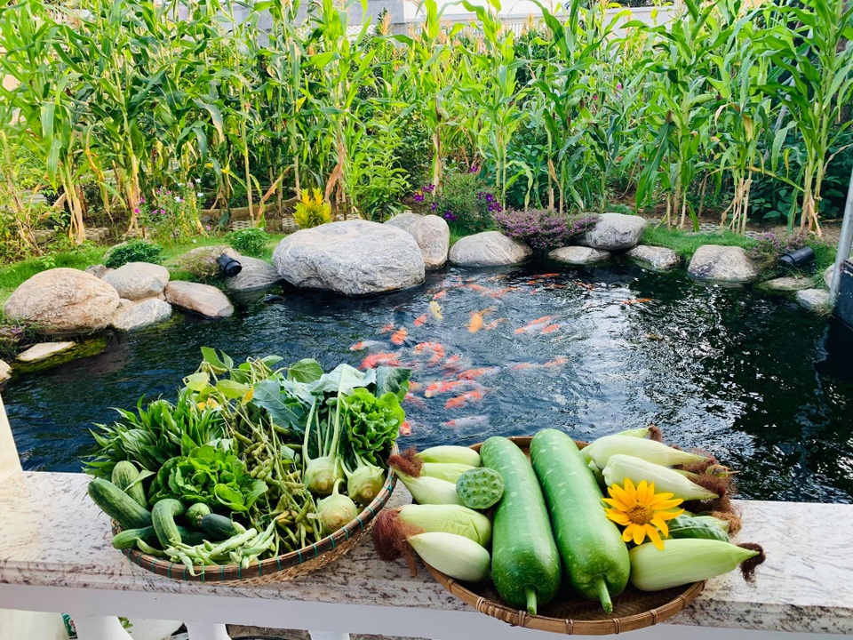 Khu vườn 720m2 đẹp như resort thu nhỏ người chồng tặng vợ ở Đồng Nai - 10 Khu vườn 720m2 đẹp như resort thu nhỏ người chồng tặng vợ ở Đồng Nai - 10