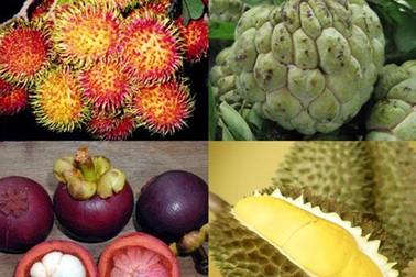 Quả ngon cuối hè