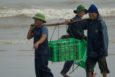 Cuộc sống nhộn nhịp nơi cửa biển