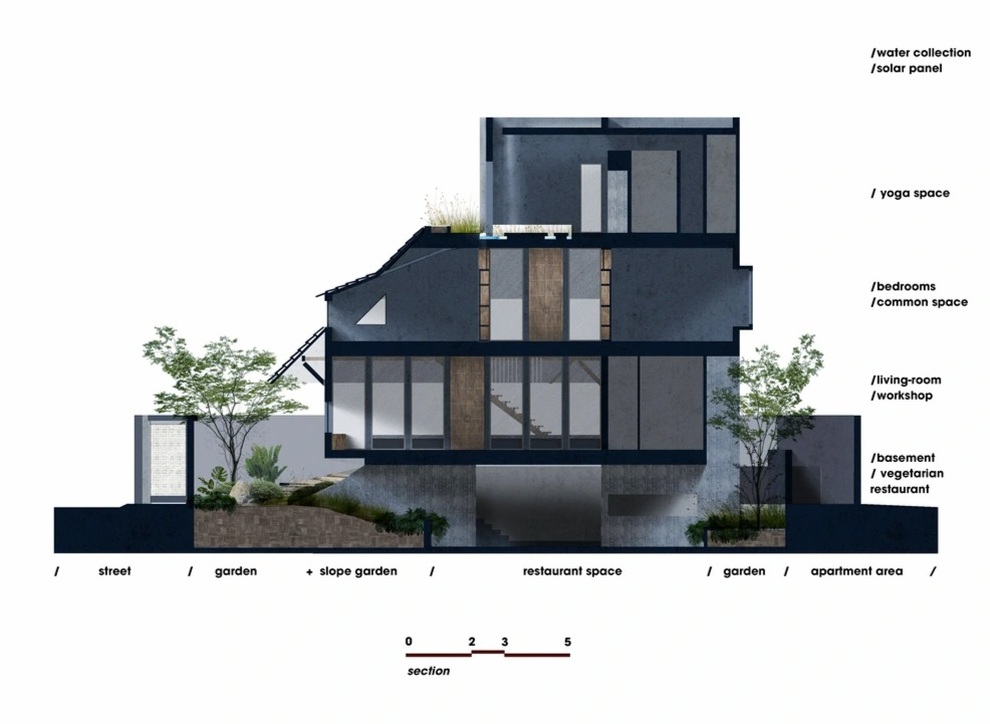 Ngôi nhà xanh lọt thỏm giữa lòng TPHCM - 2 Ngôi nhà xanh lọt thỏm giữa lòng TPHCM - 2