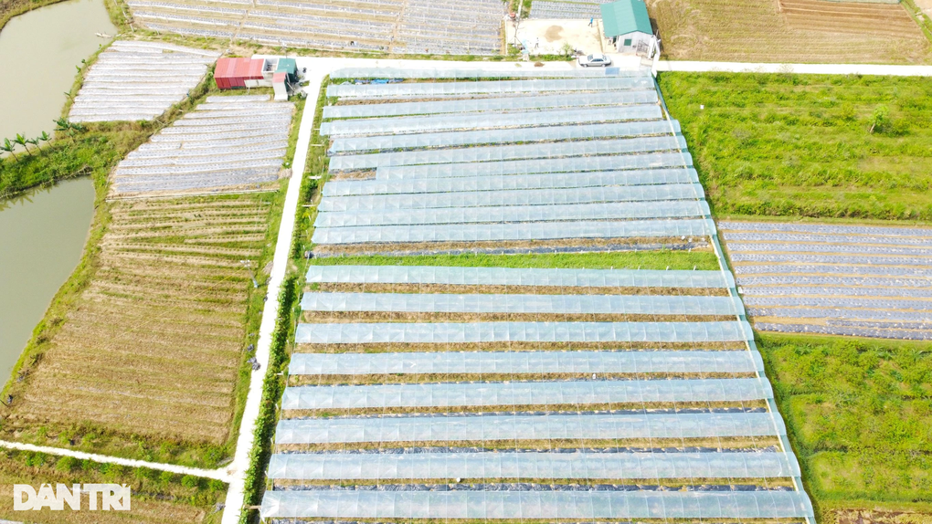 Cú liều ăn nhiều của anh khùng khiến ai cũng ngả mũ thán phục - 2