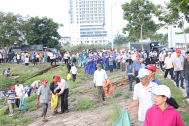 Hơn 2.000 người ra quân làm sạch môi trường tại Đà Nẵng