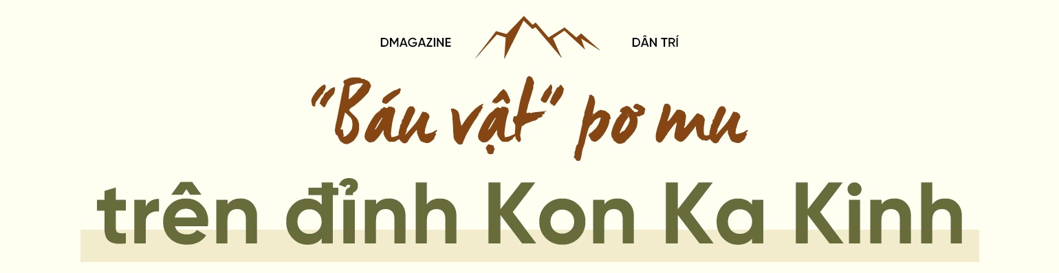 Chung lời thề canh giữ kho báu bất khả xâm phạm trên đỉnh Kon Ka Kinh - 1 Chung lời thề canh giữ kho báu bất khả xâm phạm trên đỉnh Kon Ka Kinh - 1