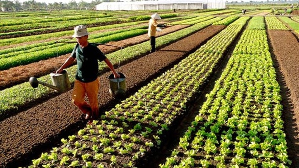 Chính phủ miễn thêm 7.500 tỷ đồng thuế sử dụng đất nông nghiệp/năm - 1 Chính phủ miễn thêm 7.500 tỷ đồng thuế sử dụng đất nông nghiệp/năm - 1