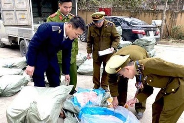 Phát hiện xe ô tô vận chuyển hơn 2 tấn nầm lợn hôi thối