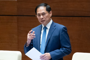 Bộ trưởng Ngoại giao: Quyết liệt chống tham nhũng sau đại án "bay giải cứu"