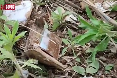 Nhiều vật dụng cá nhân của các nạn nhân trong vụ rơi máy bay được tìm thấy