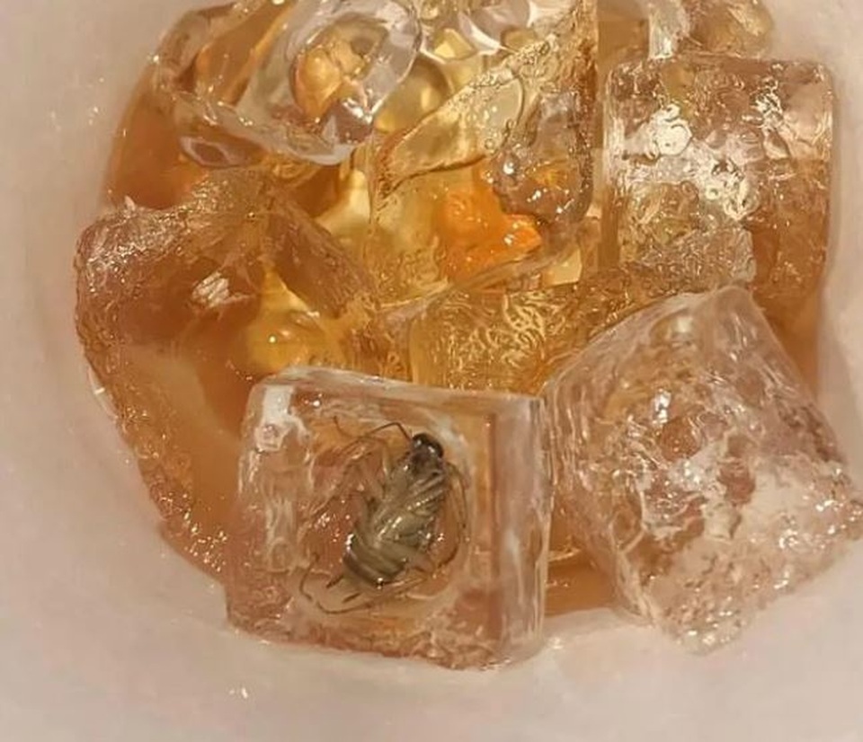Bi hài những sai sót “khó đỡ trong cuộc sống - 2 Bi hài những sai sót “khó đỡ trong cuộc sống - 2
