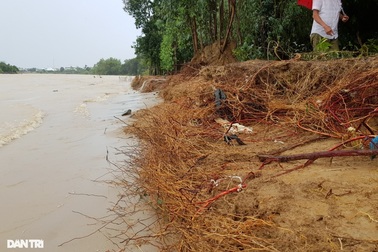Nha Trang ngập nhiều nơi, bờ sông Cái sạt lở "hở hàm ếch"