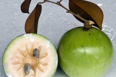 Những loại quả thực sự tốt cho trẻ