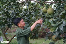 Chàng trai 9X về quê biến vùng đất cằn thành cơ ngơi bạc tỷ