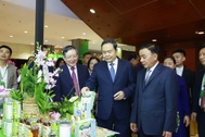 Lãnh đạo Đảng, Nhà nước dự Đại hội đại biểu toàn quốc Hội Nông dân Việt Nam