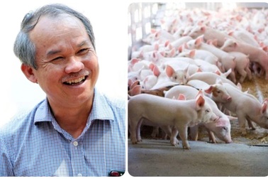 Bầu Đức tặng thịt "heo ăn chuối" cho cổ đông