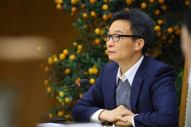 Việt Nam đón 9.000 du khách quốc tế trong 4 tháng thí điểm