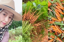 Cô gái xinh đẹp bỏ phố về ở “ẩn”: Sống không điện lưới, internet hạn chế