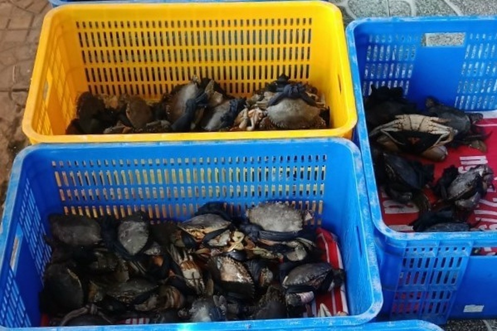 Tỉnh duy nhất 3 mặt giáp biển, ngắm mặt trời mọc ở biển Đông lặn ở biển Tây - 4 Tỉnh duy nhất 3 mặt giáp biển, ngắm mặt trời mọc ở biển Đông lặn ở biển Tây - 4