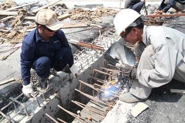 Lương ngành nào cao nhất trong họ "giao thông"?
