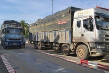 Bị yêu cầu kiểm tra xe, tài xế khóa cửa... mắc võng nằm ngủ