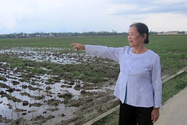 Chuyện về thiếu nữ dùng đòn gánh đả hổ cứu bạn