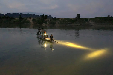 Đi bắt cào cào cho chim, 2 cháu bé mất tích