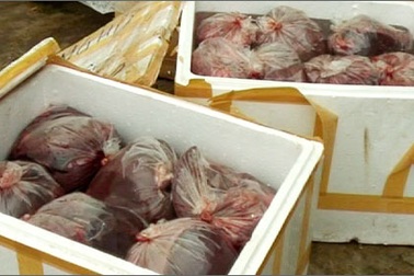 Phát hiện, xử lý hơn 700 kg sản phẩm động vật thối 