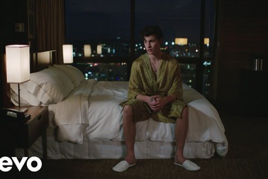 Shawn Mendes, Zedd - Lost In Japan