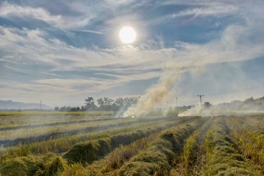 Chất lượng không khí có xu hướng suy giảm trong "mùa" đốt rơm rạ