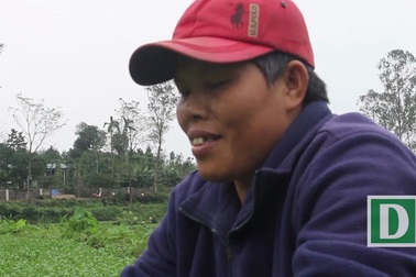 Người dân thu gần trăm triệu nhờ trồng rau liệt quanh giếng cổ ngàn năm