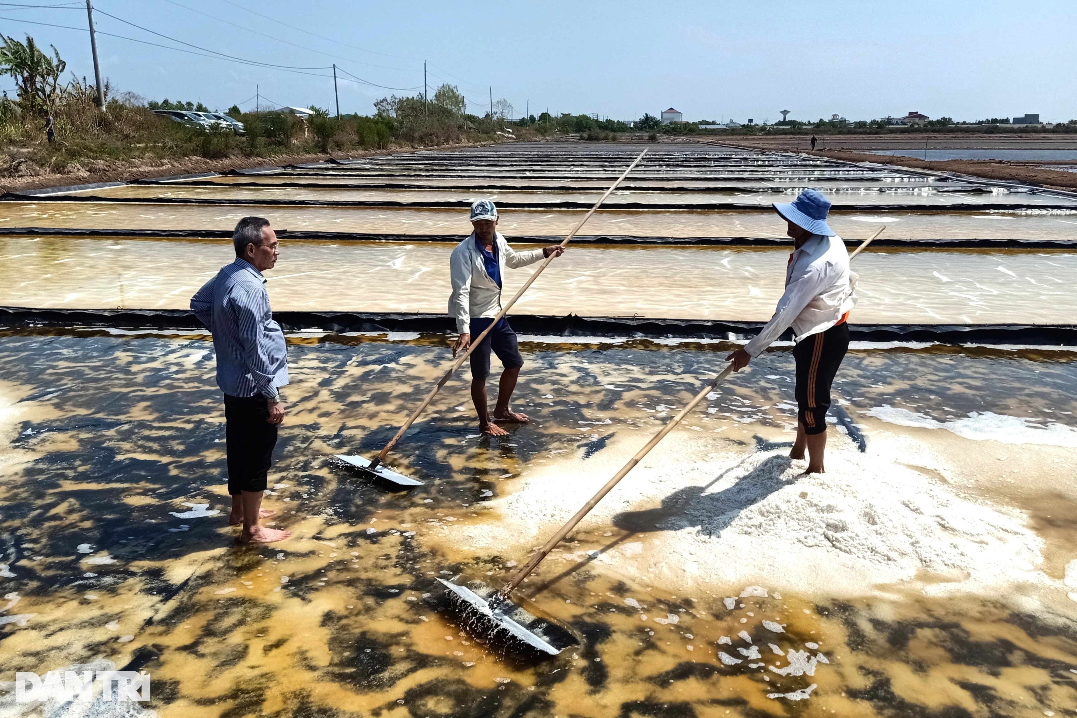 Bí thư Bạc Liêu xuống đồng cào muối cùng diêm dân - 1