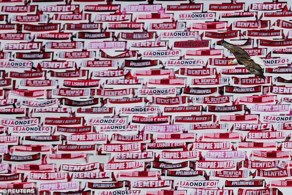 Cổ động viên ném đá khiến 2 cầu thủ Benfica nhập viện - 2 Cổ động viên ném đá khiến 2 cầu thủ Benfica nhập viện - 2