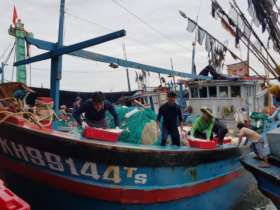 Ngư dân thu hàng chục triệu đồng sau mỗi chuyến đi biển - 1 Ngư dân thu hàng chục triệu đồng sau mỗi chuyến đi biển - 1