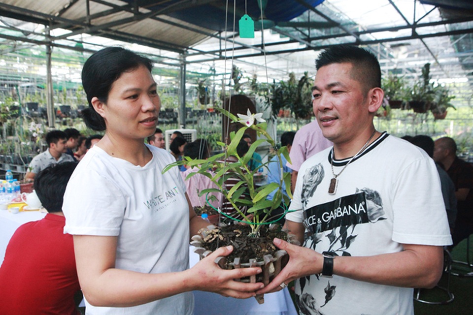 Đại gia Hà Nội chi 5 tỷ đồng mua giỏ lan nhìn như ngọn rau muống - 5 Đại gia Hà Nội chi 5 tỷ đồng mua giỏ lan nhìn như ngọn rau muống - 5