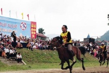 Thí điểm kinh doanh cá cược: Liệu đẩy máu cờ bạc lên cao trào?