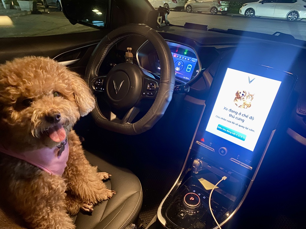 Xe Tesla gây sốt mạng xã hội vì một tính năng thú vị mà xe VinFast cũng có - 3 Xe Tesla gây sốt mạng xã hội vì một tính năng thú vị mà xe VinFast cũng có - 3