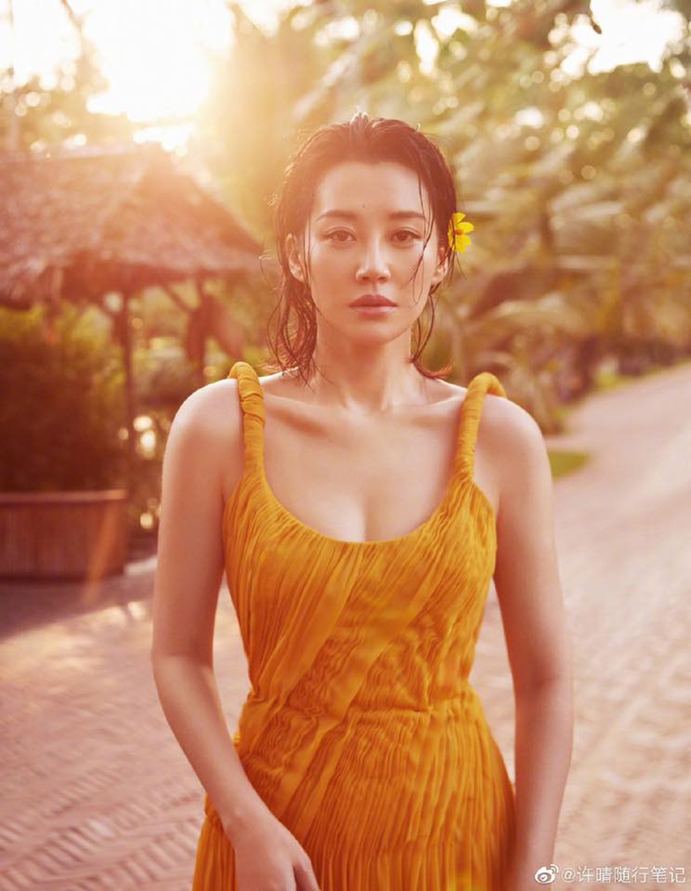 Sắc vóc rực rỡ và gợi cảm của Nhậm Doanh Doanh Hứa Tình ở tuổi 52 - 6